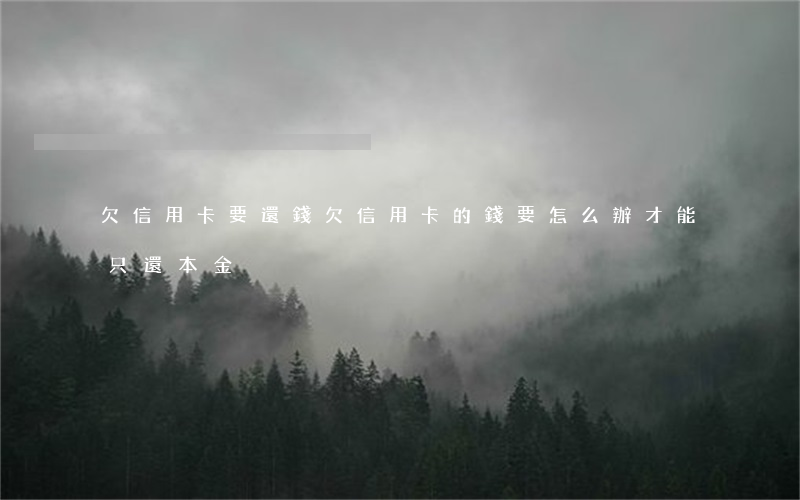欠信用卡要還錢 欠信用卡的錢要怎么辦才能只還本金