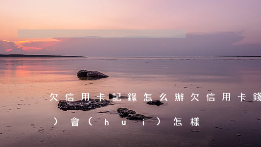 欠信用卡記錄怎么辦 欠信用卡錢(qián)會(huì)怎樣