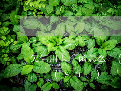 欠信用卡訴函怎么寫(xiě)(欠信用卡起訴書(shū))