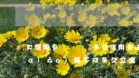 欠信用卡訴訟時間多久（信用卡逾期訴前調(diào)解不成多久立案）