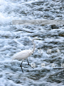 欠信用卡說(shuō)調(diào)查組要去我家（信用卡逾期到家里調(diào)查怎么辦）