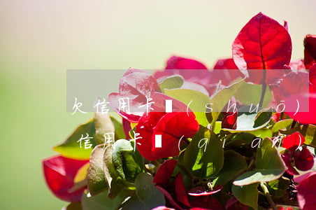 欠信用卡說(shuō)開(kāi)庭(欠信用卡錢(qián)去開(kāi)庭法官會(huì)問(wèn)什么)
