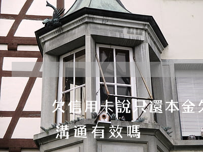 欠信用卡說只還本金(欠信用卡只還本金,電話溝通有效嗎?)