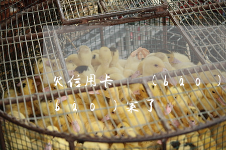 欠信用卡說報(bào)案(欠信用卡說報(bào)案了)