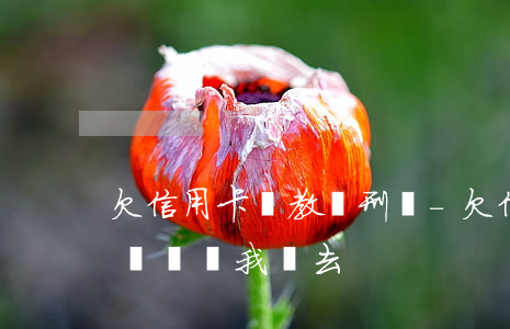 欠信用卡說教給刑偵-欠信用卡錢刑警隊打電話讓我過去