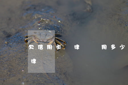 欠信用卡請律師費用多少錢（信用卡逾期產生律師費訴訟費）