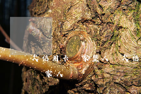 欠信用卡讓家里人還 欠信用卡會(huì)讓家人還嗎