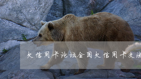 欠信用卡 论坛 全国欠信用卡交流群