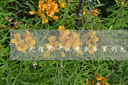 欠信用卡说要去家里找(欠信用卡去家里走访么)