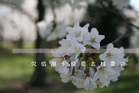 欠信用卡说要去村委会