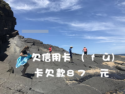 欠信用卡負(fù)債87萬-14張信用卡欠款87萬元