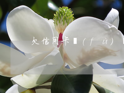 欠信用卡負(fù)債人敗訴有什么后果-