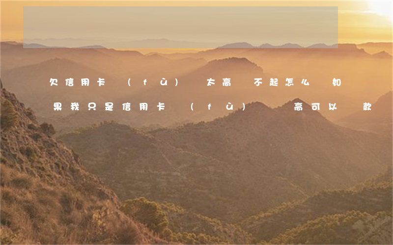 欠信用卡負(fù)債太高還不起怎么辦(如果我只是信用卡負(fù)債過高可以貸款嗎)