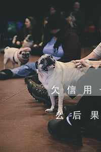 欠信用卡負(fù)民事責(zé)任有什么后果-欠信用卡負(fù)民事責(zé)任有什么后果嗎