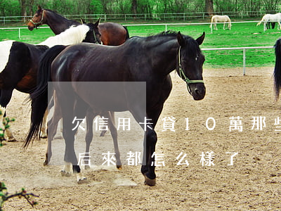 欠信用卡貸10萬(那些欠信用卡10幾萬的后來都怎么樣了)