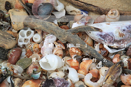 欠信用卡貸款10萬是什么感受-欠信用卡貸款10萬是什么感受呢