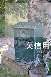 欠信用卡貸款60萬