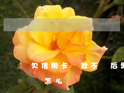 欠信用卡貸款不還后果(信用卡一直欠款不還會怎么樣)