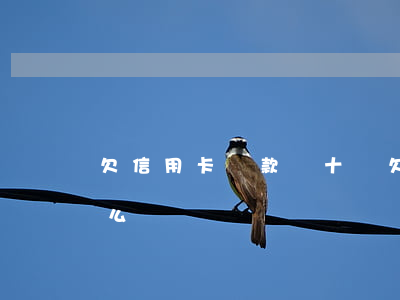 欠信用卡貸款幾十萬(欠信用卡貸款幾十萬怎么辦)