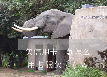欠信用卡貸款怎么變網(wǎng)貸(欠信用卡跟欠網(wǎng)貸的區(qū)別)