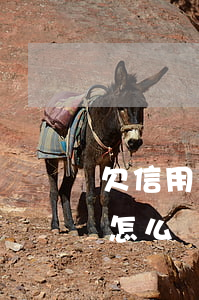 欠信用卡貸款是什么罪(欠信用卡貸款不還會怎么樣)
