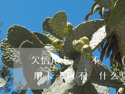 欠信用卡賬單不還會(huì)怎么樣(欠信用卡一直不還什么后果)