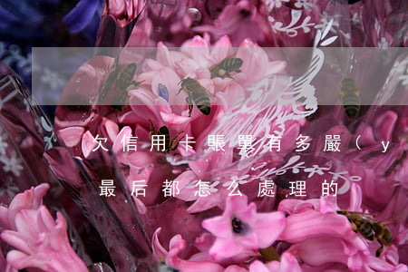 欠信用卡賬單有多嚴(yán)重(欠信用卡最后都怎么處理的)