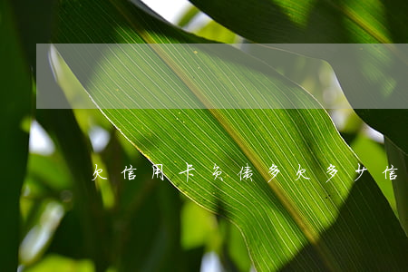 欠信用卡负债多 欠多少信用卡会被拉黑