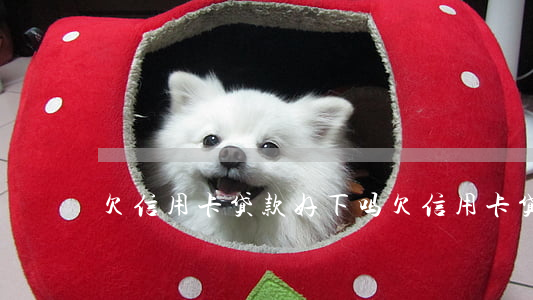 欠信用卡贷款好下吗(欠信用卡贷款会坐牢吗)