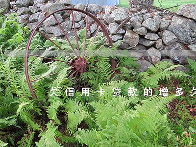 欠信用卡贷款的增多（欠信用卡贷款的增多）