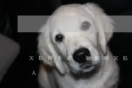 欠信用卡走報案程序(欠信用卡被報案了會抓人嗎)