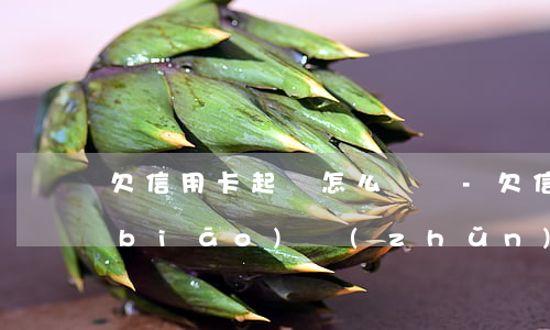 欠信用卡起訴怎么處罰-欠信用卡起訴標(biāo)準(zhǔn)