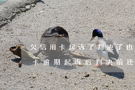 欠信用卡起诉了 判决了 也履行期有多久（信用卡逾期起诉后判决前还清）