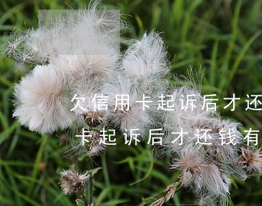 欠信用卡起诉后才还钱有什么影响-欠信用卡起诉后才还钱有什么影响吗