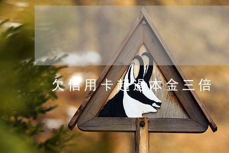 欠信用卡超過本金三倍