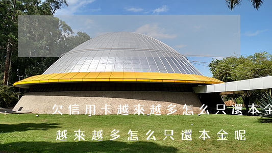 欠信用卡越來越多怎么只還本金-欠信用卡越來越多怎么只還本金呢
