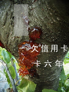 欠信用卡跑了六年沒(méi)還-欠信用卡六年了過(guò)追訴期了嗎?