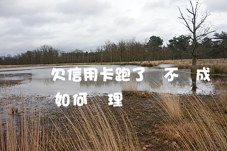 欠信用卡跑了會不會成為網逃（欠信用卡逃跑如何處理）