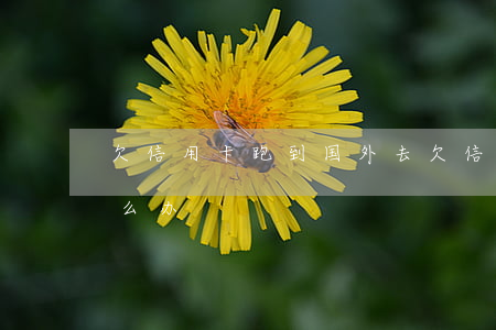 欠信用卡跑到国外去(欠信用卡钱人在国外怎么办)