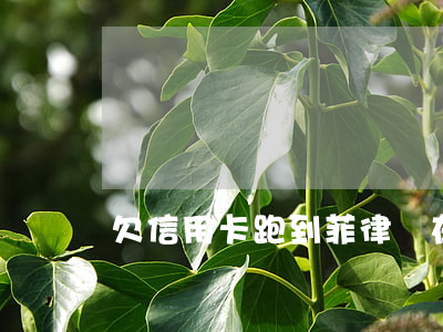 欠信用卡跑到菲律賓(在菲律賓逾期一年怎么辦)