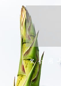欠信用卡跑哪里安全(欠信用卡跑路什么下場)