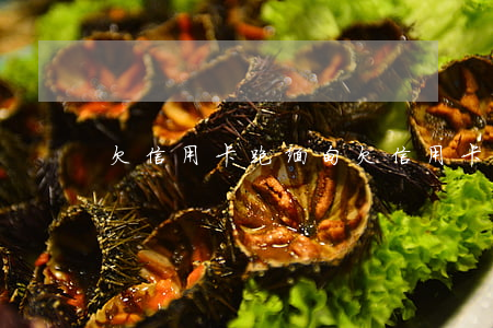 欠信用卡跑缅甸(欠信用卡想出国打工)