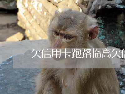 欠信用卡跑路（临高欠信用卡跑的人员）