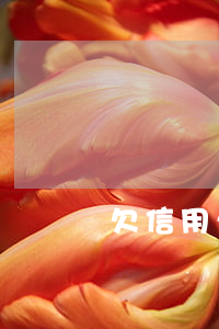 欠信用卡跑路家人會怎樣（欠信用卡人跑路）