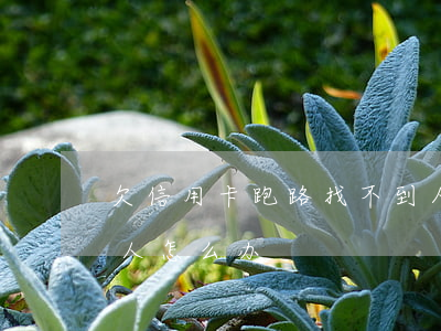 欠信用卡跑路找不到人(欠信用卡跑路找不到人怎么办)