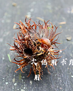 欠信用卡跑路有用嗎怎么辦（欠信用卡跑路有用嗎）