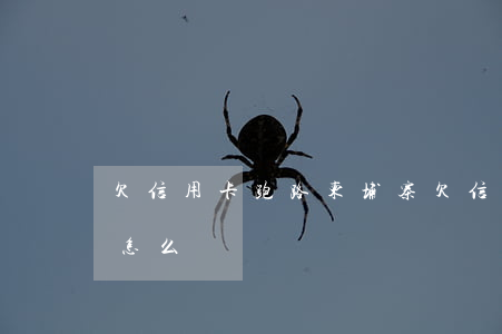 欠信用卡跑路柬埔寨(欠信用卡跑路柬埔寨會怎么樣)