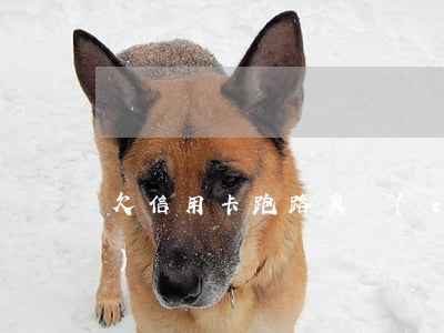 欠信用卡跑路真實(shí)經(jīng)歷