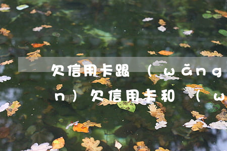 欠信用卡跟網(wǎng)貸25萬(wàn)(欠信用卡和網(wǎng)貸幾十萬(wàn)無(wú)力償還)