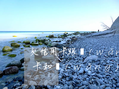 欠信用卡跟網(wǎng)貸誰嚴重(欠信用卡和網(wǎng)貸60多萬)